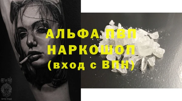 шишки Аркадак