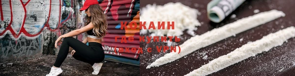 дживик Арсеньев