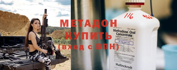 шишки Аркадак