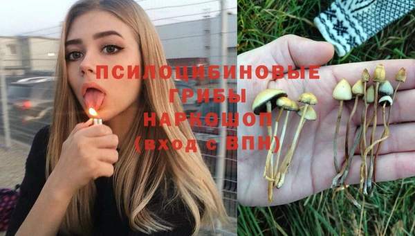 шишки Аркадак