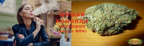 дживик Арсеньев