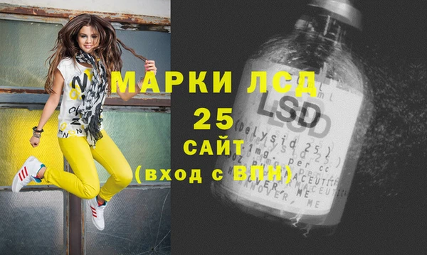 шишки Аркадак