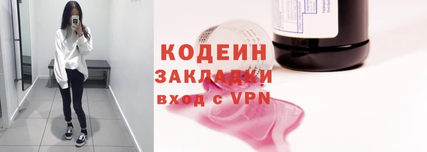 дживик Арсеньев