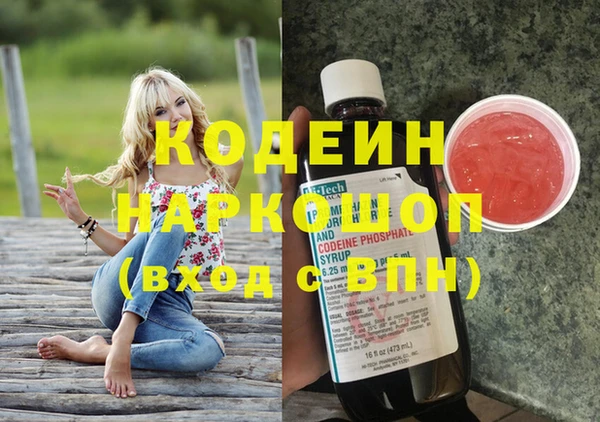 шишки Аркадак