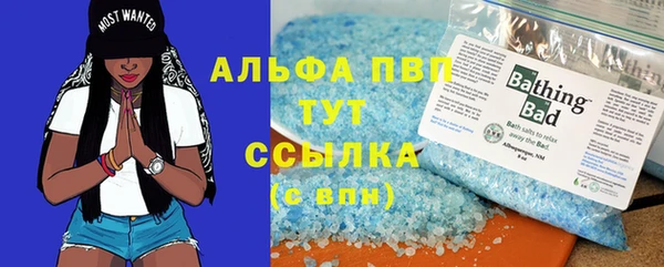 шишки Аркадак