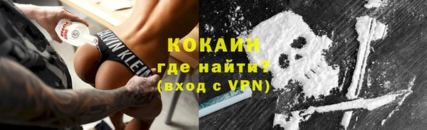 шишки Аркадак