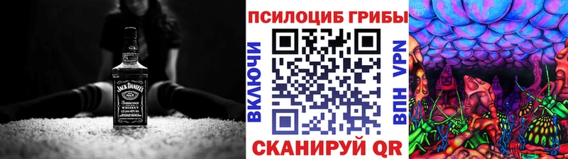 Псилоцибиновые грибы Psilocybine cubensis  что такое наркотик  Рошаль 
